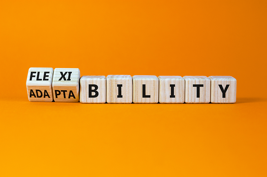 How to Adapt Your IT for Flexible Work Plans