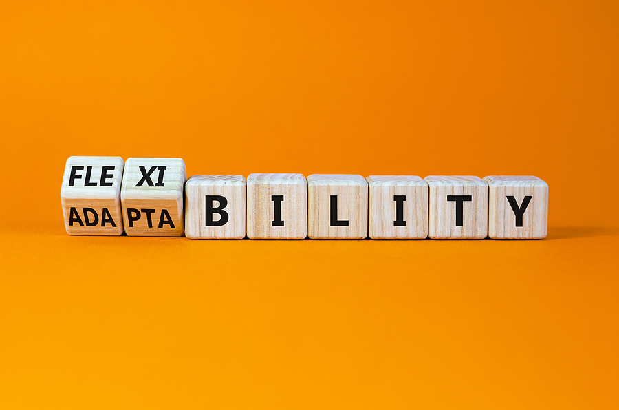 How To Adapt Your IT For Flexible Work Plans CRU Solutions